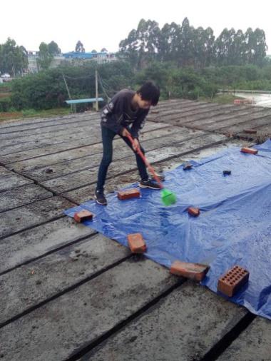 1498027577896776.jpg 6.jpg